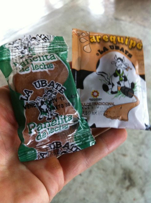 Two local specialities, "Panelita de Leche" and "Arequipe". They're pretty much sugar and milk!